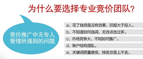 為什么要選擇專業競價團隊?