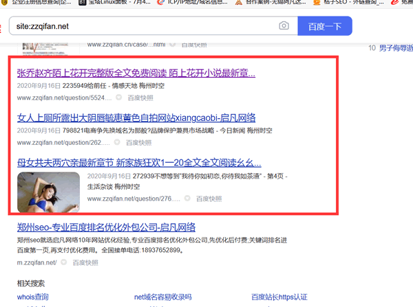 普通多site—自己沒有3W域名的網站,看看有沒有被人故意泛解析;